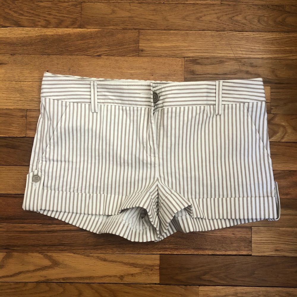 NWT Express Design Studio Shorts